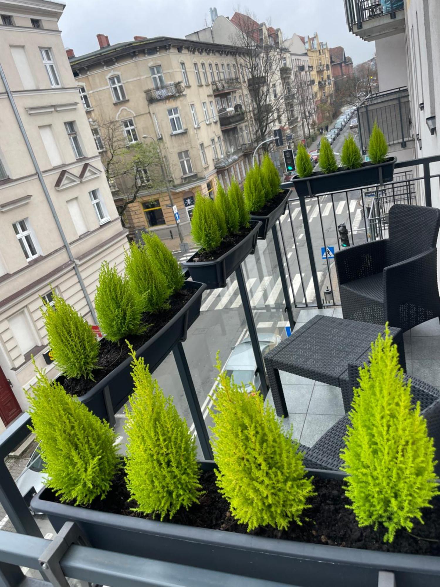 Chillout Polna - Parking Daire Poznan Dış mekan fotoğraf